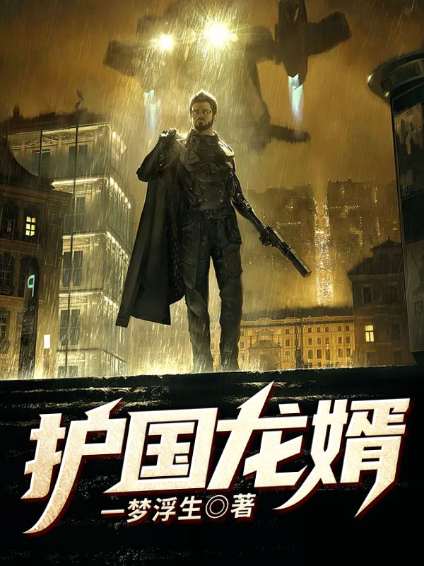 萧战穆如雪封面